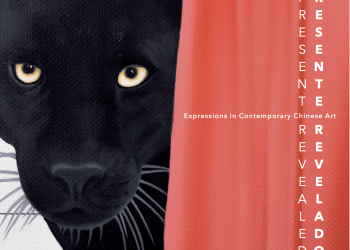 Preview exhibition Presente Revelado